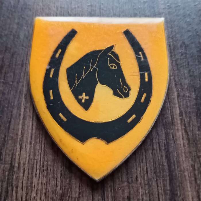 SADF, SA ARMY EQUESTRAIN CENTRE ARM FLASH