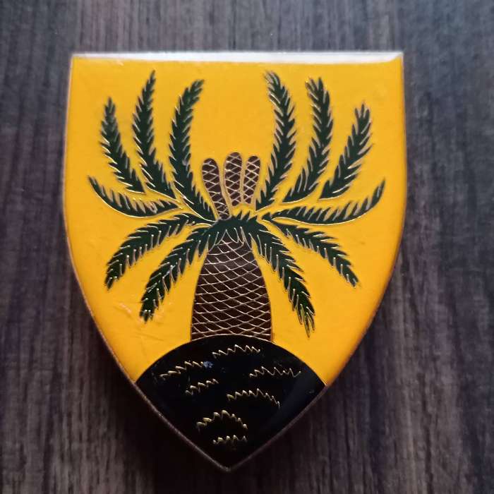 SADF, SA ARMY 4 INFANTRY ARM FLASH