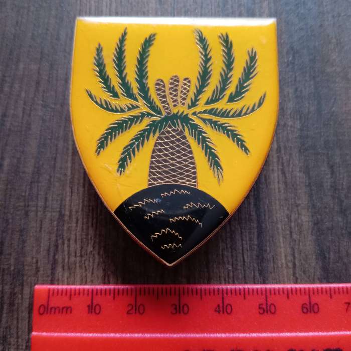 SADF, SA ARMY 4 INFANTRY ARM FLASH
