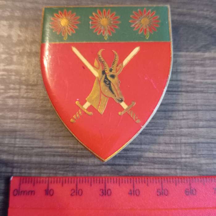 SADF, SA ARMY NORTHERN TRANSVAAL COMMAND ARM FLASH