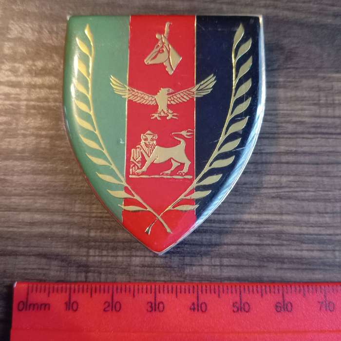 SADF, SA ARMY JOINT CHIEFS COMBAT FORCES ARM FLASH BADGE