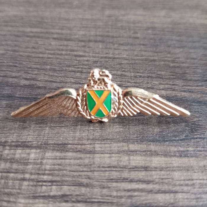 SADF, SA AIR FORCE COMMANDO PILOT GOLD METAL WINGS