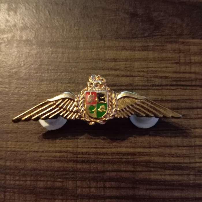 SADF, AIR FORCE NAVIGATORS GOLD WING BADGE