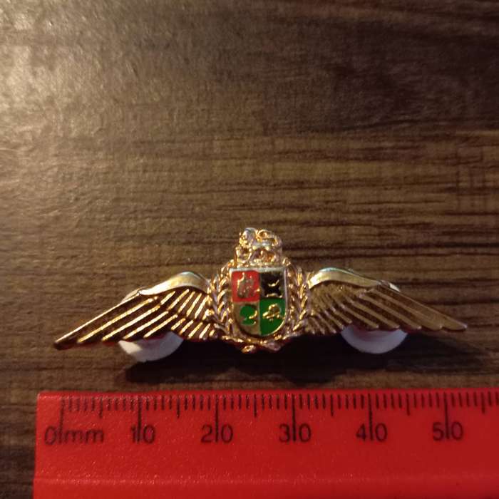 SADF, AIR FORCE NAVIGATORS GOLD WING BADGE