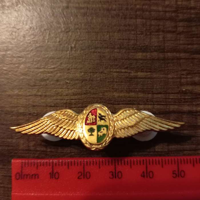 SADF, SA AIR FORCE PILOT GOLD METAL WINGS