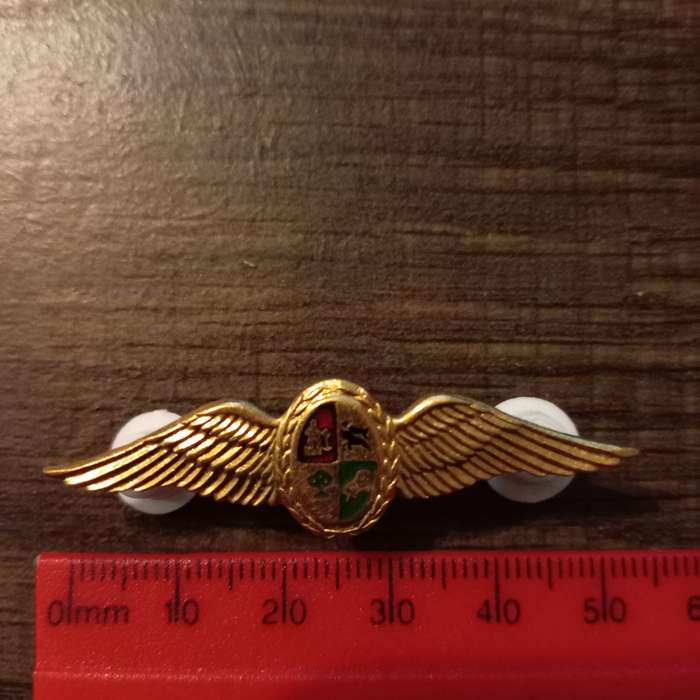 SADF, SA AIR FORCE PILOT GOLD METAL WINGS