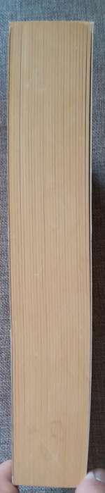 The Bourne Betrayal - Robert Ludlum (Large Softcover)