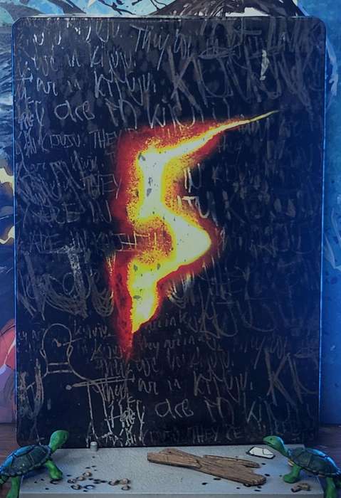 Resident Evil 5(Steelbook) - Xbox 360