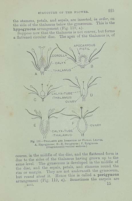 *1920* A Textbook of Botany - Lowson