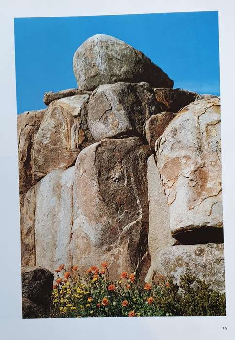 Namaqualand - Garden of the Gods (F. Patterson)