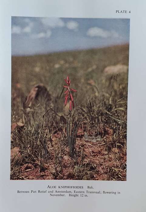 The Aloes of South Africa - Gilbert Westacott Reynolds