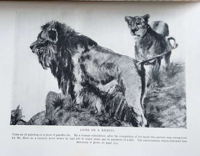 * 1928 * Aloysius Horn - The Ivory Coast in the Earlies