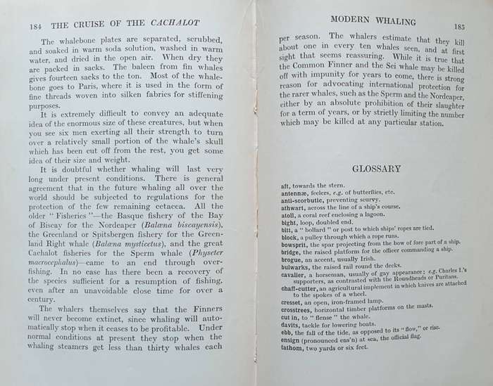 * 1927 * The Cruise of the Cachalot - Round the World after Sperm Whales (F.T. Bullen)