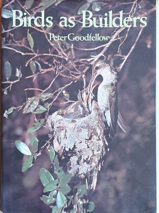 Birds as Builders - Peter Goodfellow