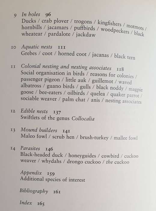 Birds as Builders - Peter Goodfellow