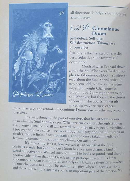 The Faeries Oracle - Brian Froud & Jessica Macbeth