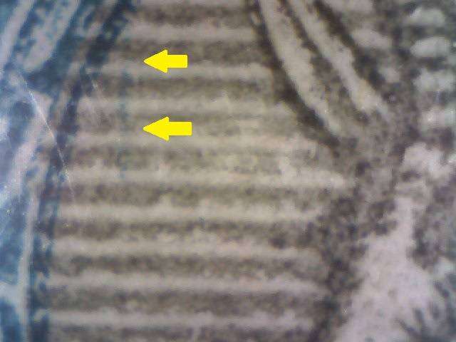 1949 Hyphenated & Screened Definitive 1/2d-pair with variety in MM-condition