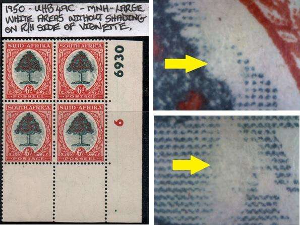 1950 Hyphenated & Screened Definitive 6d-control block with variety in MNH-condition