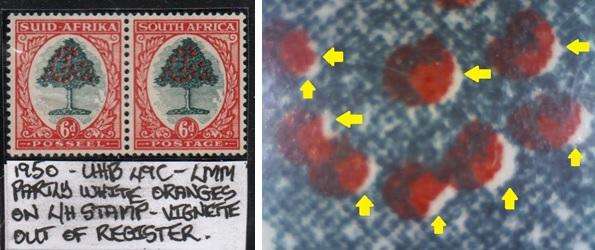 1950 Hyphenated & Screened Definitive 6d-pair with variety in LMM-condition
