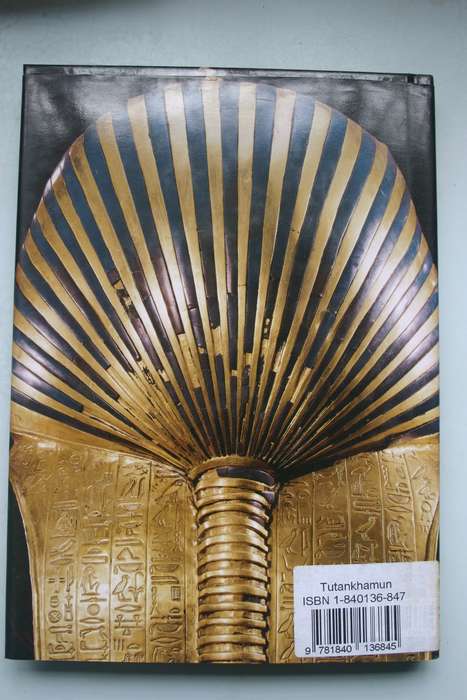 Tutankhamun - Aude Gros de Beler