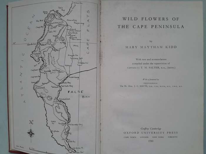 Wild Flowers of the Cape Pemimsula - Mary Maytham Kidd.