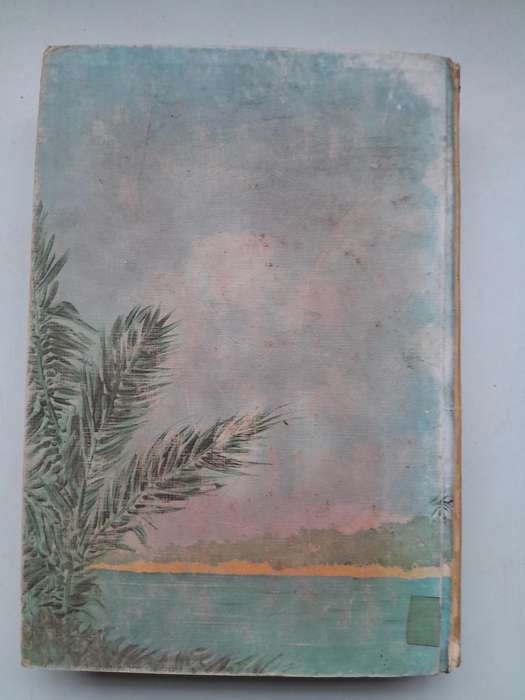 Islands in a Forgotten Sea - T.V.BULPIN