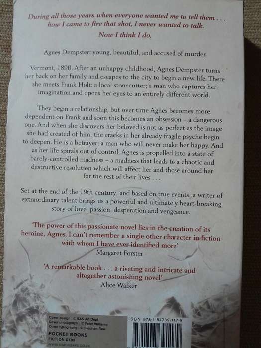 The Madness of a Seduced Woman - Susan Fromberg Schaeffer.