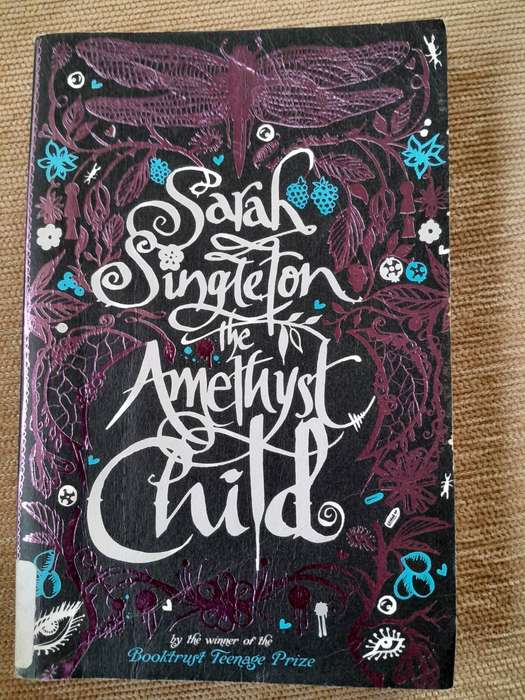 The Amethyst Child - Sarah Singleton.