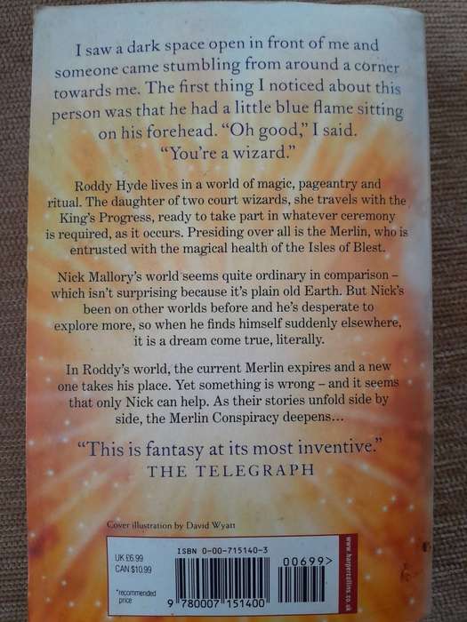 The Merlin Conspiracy - Diana Wynne Jones.