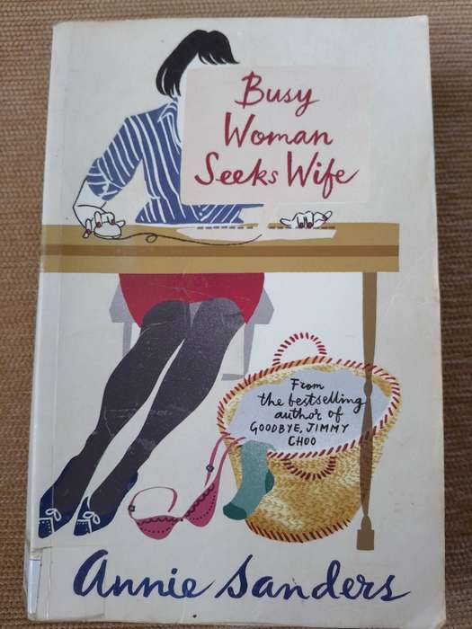 Busy Woman Seeks Wife - Annie Sanders.