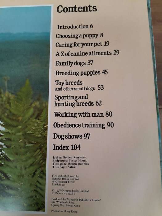All Colour World of Dogs - David Squire