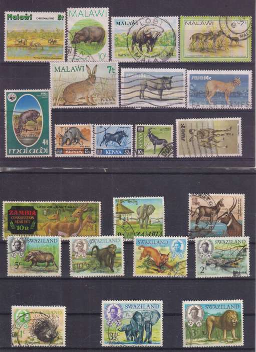 R12 SALE - COLLECTION OF THEMATIC STAMPS - WILDLIFE