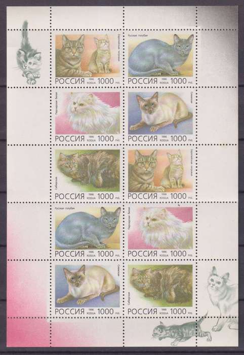 R15 SALE - Minisheet - Russia - Cats