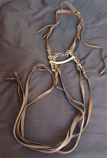 Horse Riding Leather Bridle with Bit and Double Reins