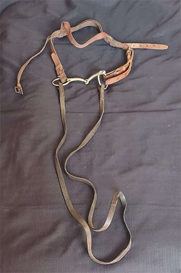 Horse Riding Leather Bridle with Bit and Single Reins