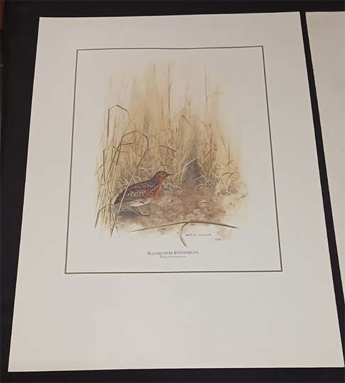 Set of 4 Geoffrey Lockwood Lithographic Prints