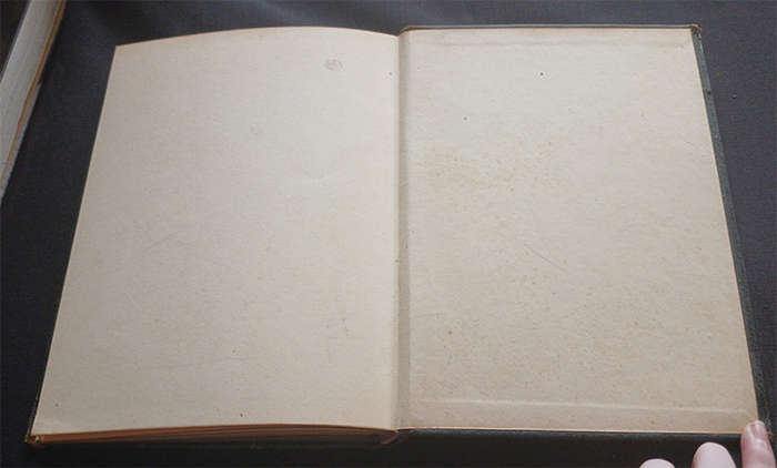 Rubaiyat of Omar Khayyam rendered into English verse by Edward Fitzgerald