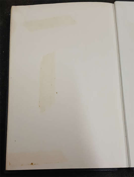 The Vulture is a Patient Bird by James Hadley Chase (1st Edition)