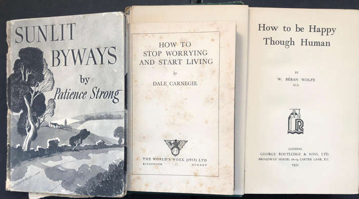 How to be Happy though Human by Wolfe How to Stop Worrying and Start Living by Carnegie Sunlit......