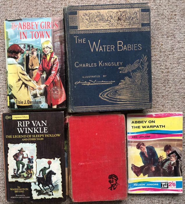 Abbey on the Warpath by Eric Leyland The Water Babies by Charles Kingsley The Abbey Girls in Town...