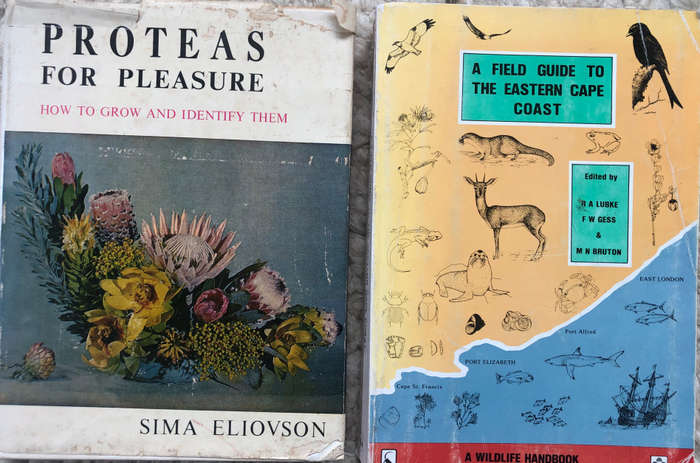 PROTEAS FOR PLEASURE BY S ELIOVSON & A FIELD GUIDE TO THE EASTERN CAPE BY LUBKE, GESS & BRUTON