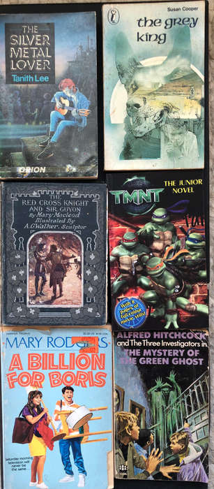 FANTASY BOOKS COLLECTION OF 6