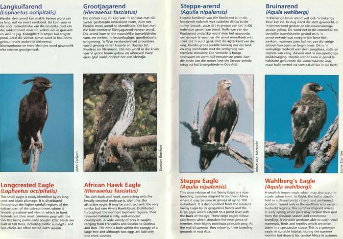 Arende en Boere  --  Eagles and Farmers