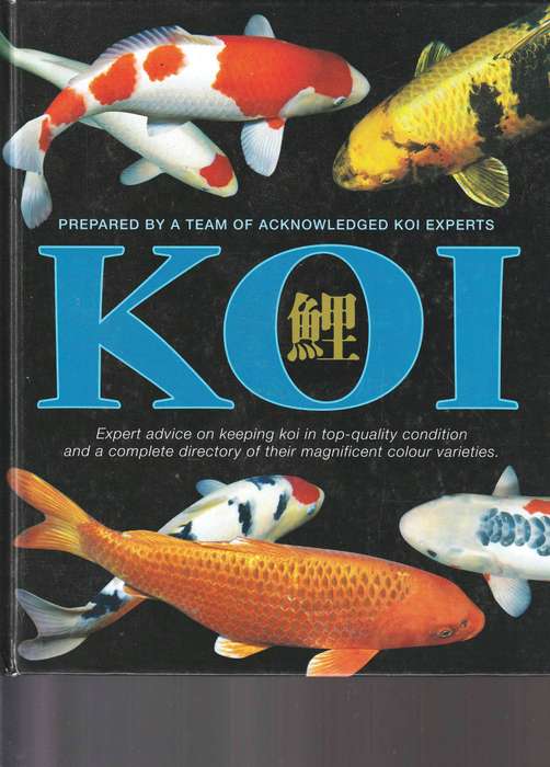 Koi