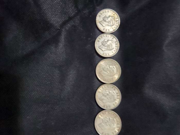Set of 20 SA Union coins