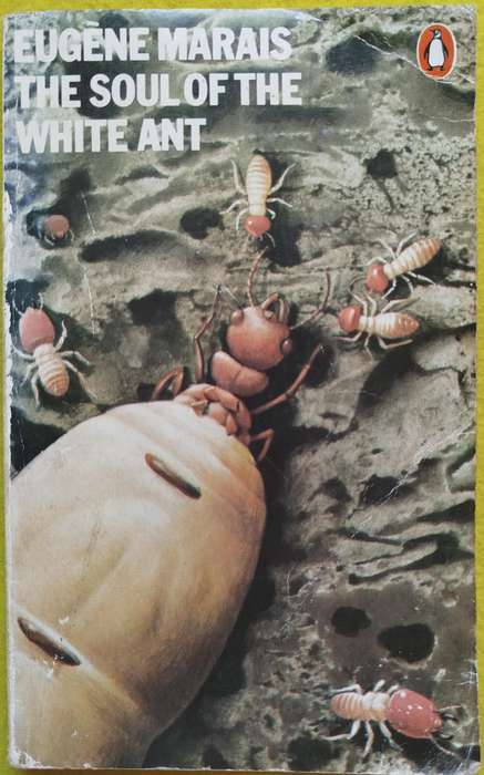 The soul of the white ant - Eugene Marais