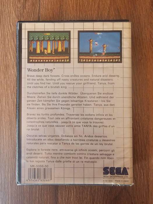 Wonder Boy (Sega Master System)