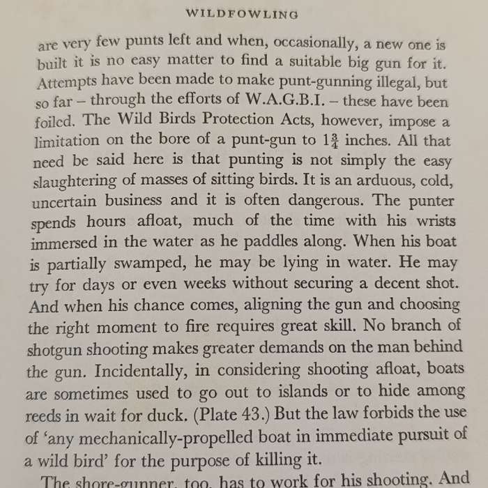 Shotgun and shooter - Carlisle & Stanbury 1970 first edition