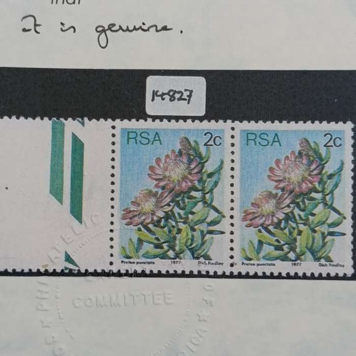 South Africa 1977 2c protea (SACC 419) unused marginal pair