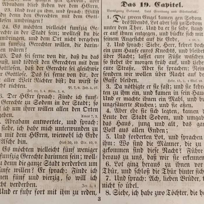 Antique German Bible - Old and New Testament by Martin Luther - circa 1800's